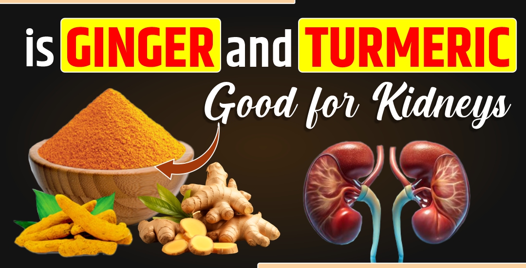 Is Ginger and Turmeric Good for Kidneys?